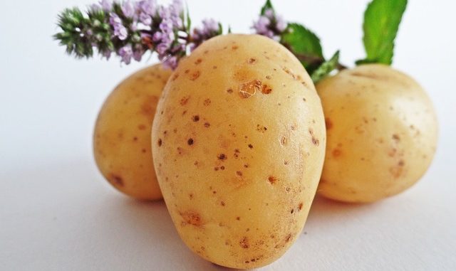 bramborové placky