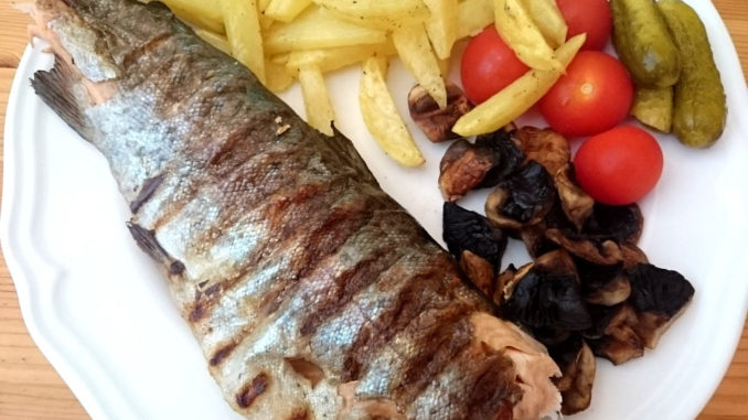 pstruh-na-grilu pstruh na grilu